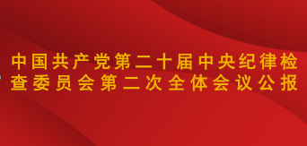 中国共产党第二十届中央纪律检查委员会第二次全体...