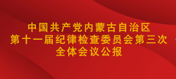 中国共产党内蒙古自治区第十一届纪律检查委员会第...
